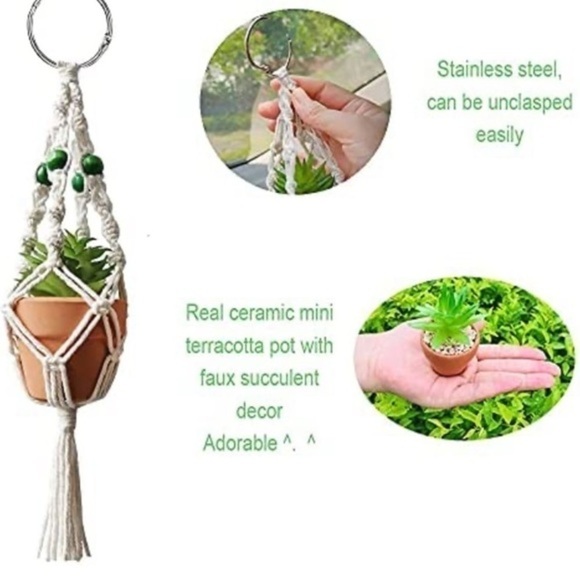 CAR SUCCULENT | RearView Mirror Hanging Car Cactus Succulent 10.5”. - Picture 4 of 4